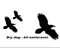 Bli med å gå Natteravn