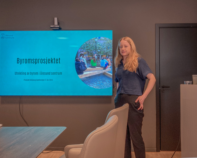 Byromsprosjektet