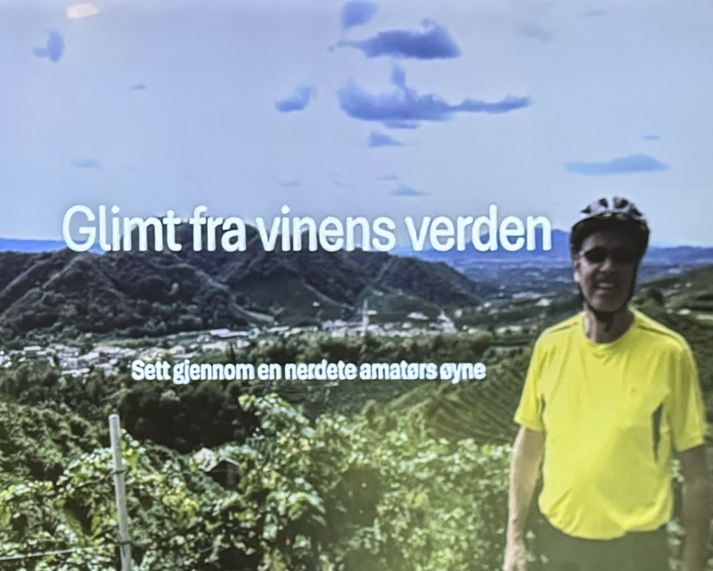 Glimt fra vinens verden